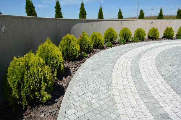 Best Driveway Pavers Near Me  in Baltimore Highlands, MD